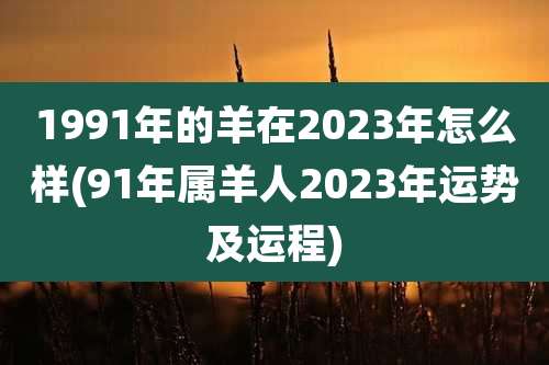 1991年的羊在2023年怎么样(91年属羊人2023年运势及运程)