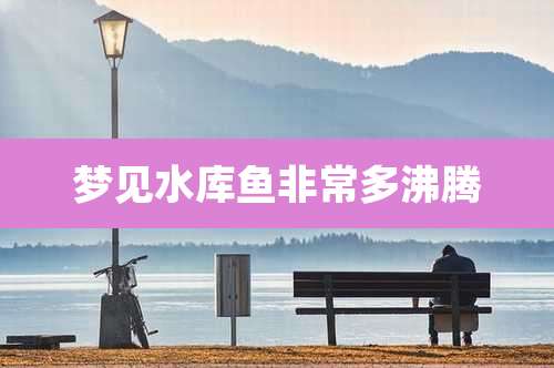 梦见水库鱼非常多沸腾