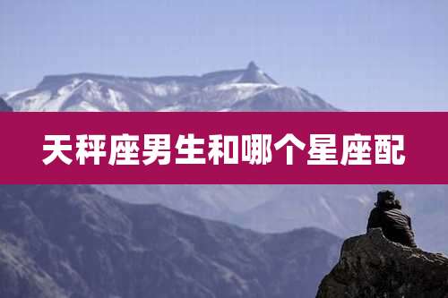 天秤座男生和哪个星座配