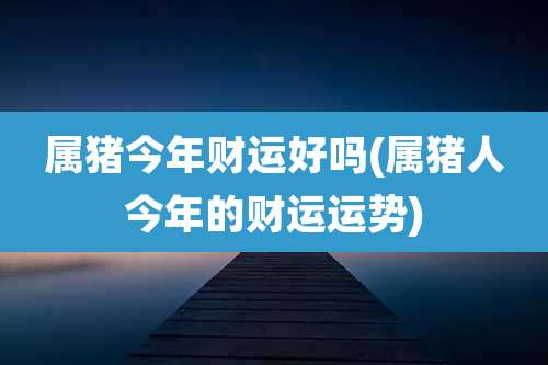 属猪今年财运好吗(属猪人今年的财运运势)