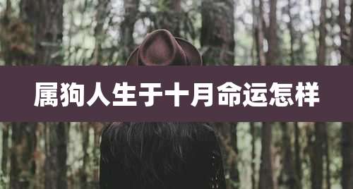 属狗人生于十月命运怎样