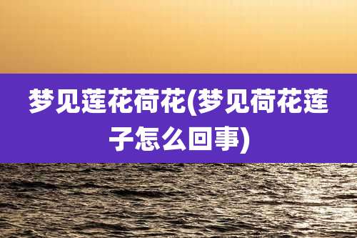 梦见莲花荷花(梦见荷花莲子怎么回事)