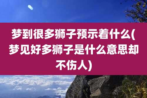 梦到很多狮子预示着什么(梦见好多狮子是什么意思却不伤人)