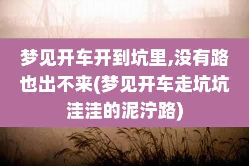 梦见开车开到坑里,没有路也出不来(梦见开车走坑坑洼洼的泥泞路)