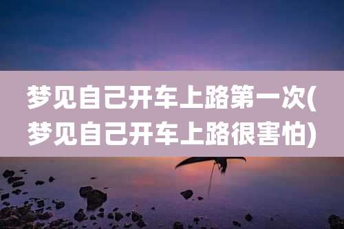 梦见自己开车上路第一次(梦见自己开车上路很害怕)