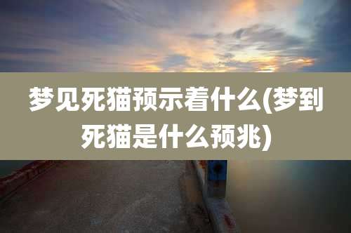 梦见死猫预示着什么(梦到死猫是什么预兆)