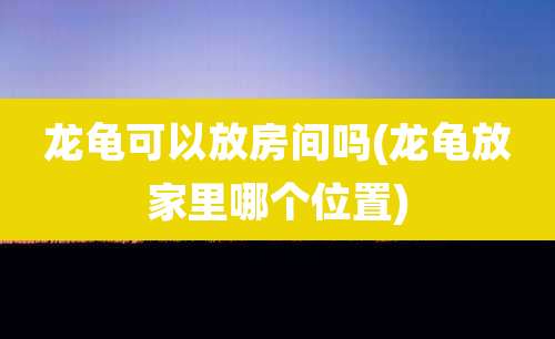 龙龟可以放房间吗(龙龟放家里哪个位置)
