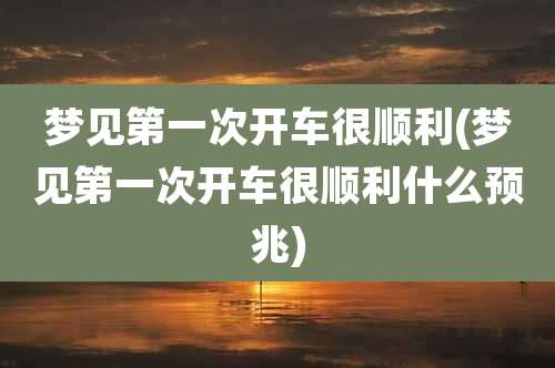 梦见第一次开车很顺利(梦见第一次开车很顺利什么预兆)
