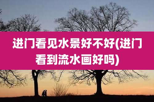 进门看见水景好不好(进门看到流水画好吗)