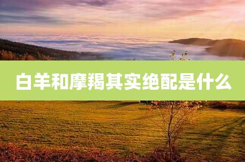 白羊和摩羯其实绝配是什么