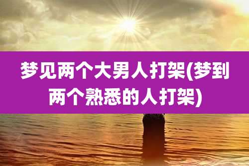 梦见两个大男人打架(梦到两个熟悉的人打架)