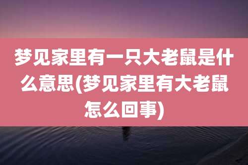 梦见家里有一只大老鼠是什么意思(梦见家里有大老鼠怎么回事)