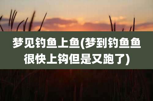 梦见钓鱼上鱼(梦到钓鱼鱼很快上钩但是又跑了)