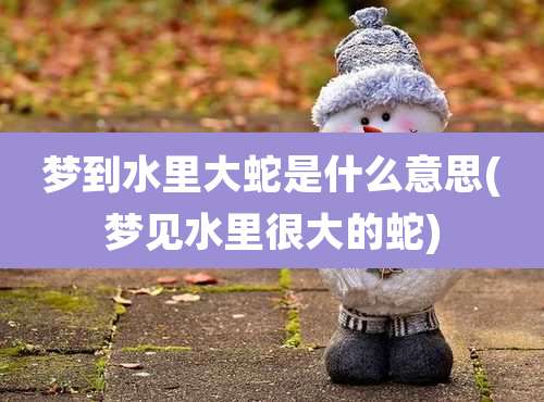 梦到水里大蛇是什么意思(梦见水里很大的蛇)