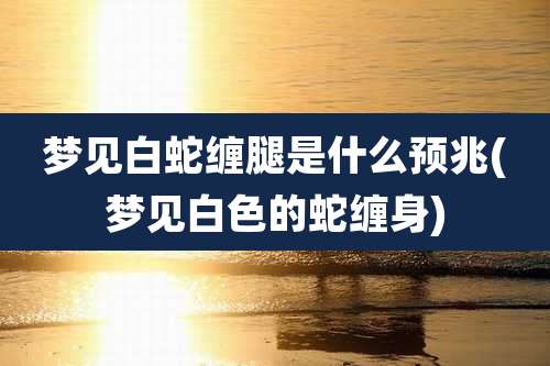梦见白蛇缠腿是什么预兆(梦见白色的蛇缠身)