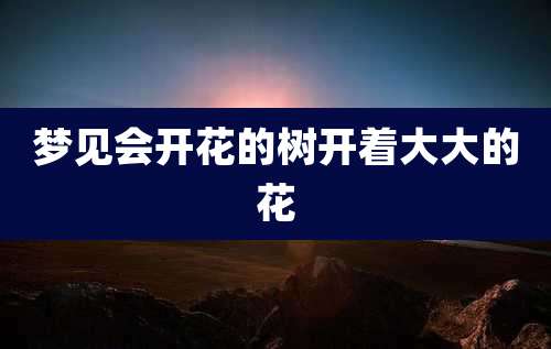 梦见会开花的树开着大大的花