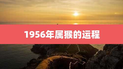 1956年属猴的运程