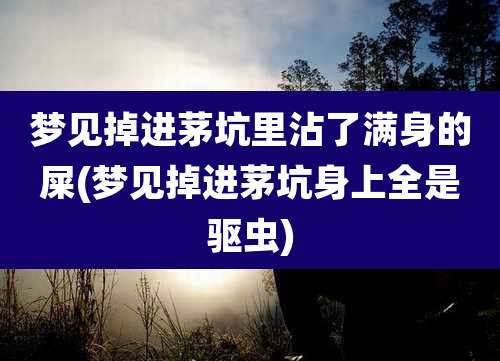 梦见掉进茅坑里沾了满身的屎(梦见掉进茅坑身上全是驱虫)