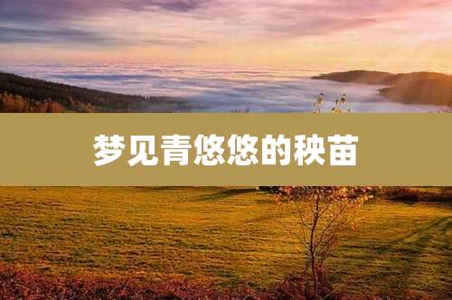 梦见青悠悠的秧苗