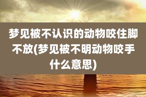 梦见被不认识的动物咬住脚不放(梦见被不明动物咬手什么意思)