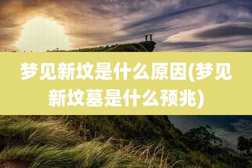 梦见新坟是什么原因(梦见新坟墓是什么预兆)