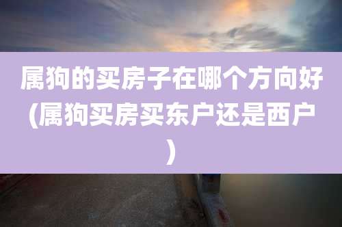 属狗的买房子在哪个方向好(属狗买房买东户还是西户)