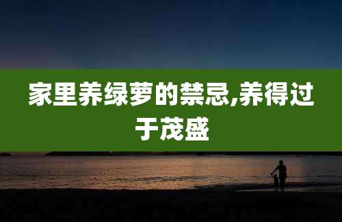 家里养绿萝的禁忌,养得过于茂盛
