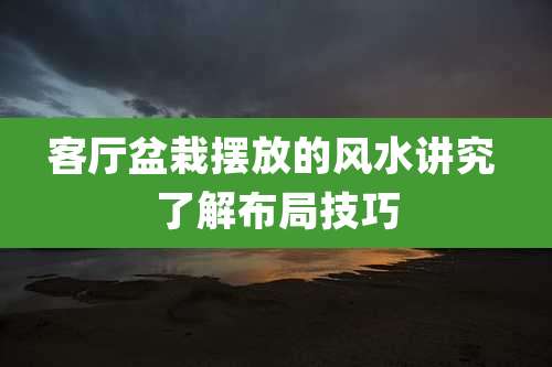 客厅盆栽摆放的风水讲究 了解布局技巧