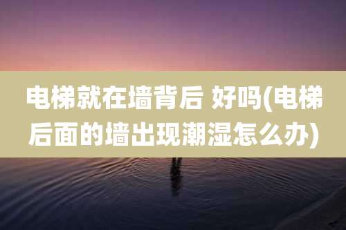 电梯就在墙背后 好吗(电梯后面的墙出现潮湿怎么办)