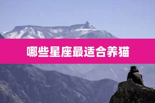 哪些星座最适合养猫