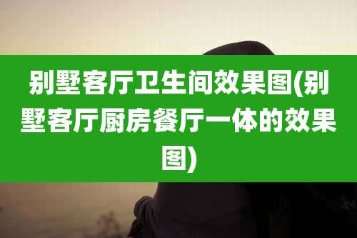 别墅客厅卫生间效果图(别墅客厅厨房餐厅一体的效果图)