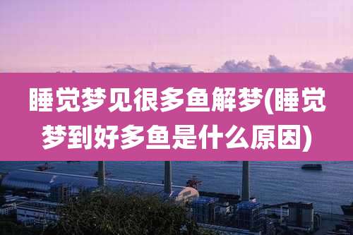睡觉梦见很多鱼解梦(睡觉梦到好多鱼是什么原因)