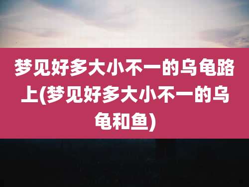 梦见好多大小不一的乌龟路上(梦见好多大小不一的乌龟和鱼)