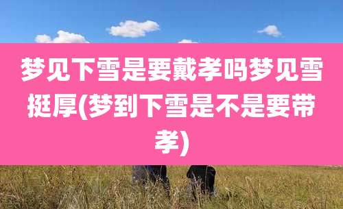 梦见下雪是要戴孝吗梦见雪挺厚(梦到下雪是不是要带孝)