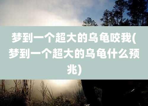 梦到一个超大的乌龟咬我(梦到一个超大的乌龟什么预兆)