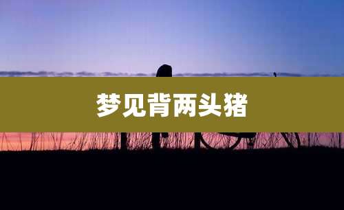 梦见背两头猪