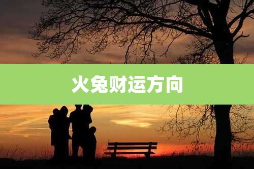 火兔财运方向