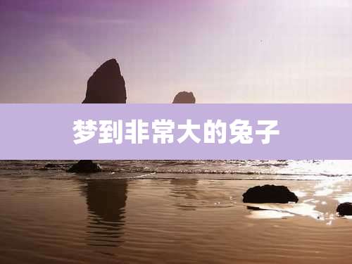 梦到非常大的兔子