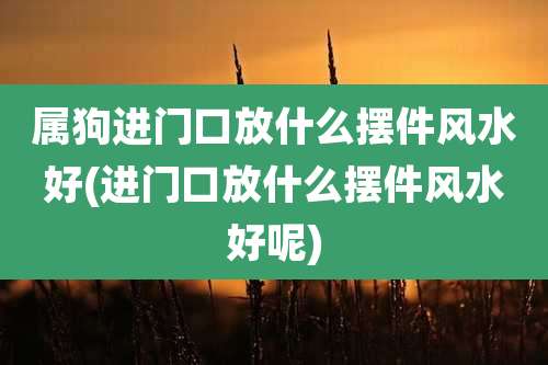 属狗进门口放什么摆件风水好(进门口放什么摆件风水好呢)