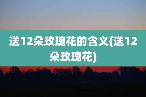 送12朵玫瑰花的含义(送12朵玫瑰花)