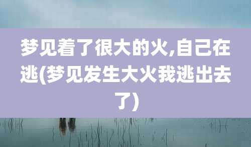 梦见着了很大的火,自己在逃(梦见发生大火我逃出去了)