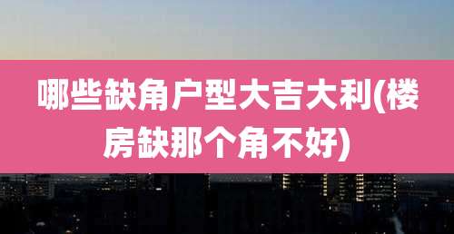 哪些缺角户型大吉大利(楼房缺那个角不好)