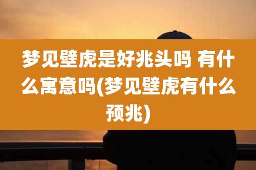 梦见壁虎是好兆头吗 有什么寓意吗(梦见壁虎有什么预兆)