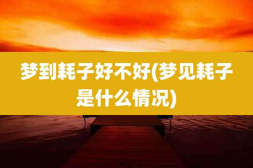 梦到耗子好不好(梦见耗子是什么情况)