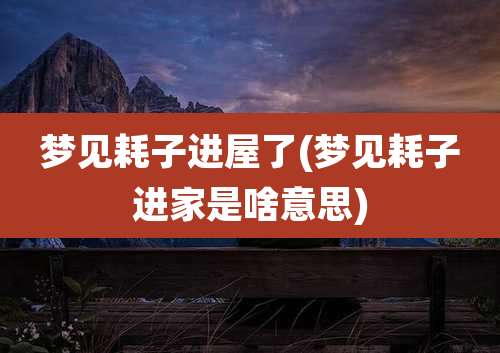 梦见耗子进屋了(梦见耗子进家是啥意思)