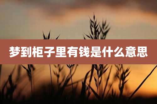梦到柜子里有钱是什么意思