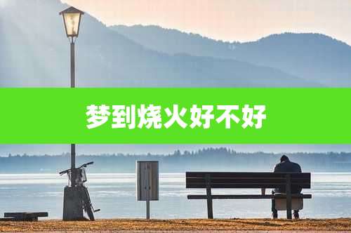 梦到烧火好不好