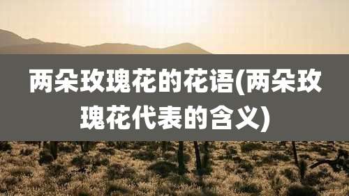 两朵玫瑰花的花语(两朵玫瑰花代表的含义)