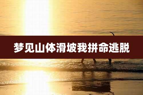 梦见山体滑坡我拼命逃脱