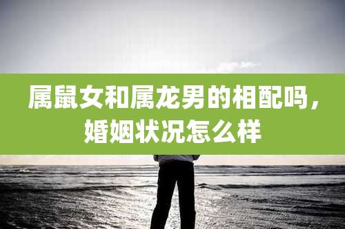 属鼠女和属龙男的相配吗,婚姻状况怎么样